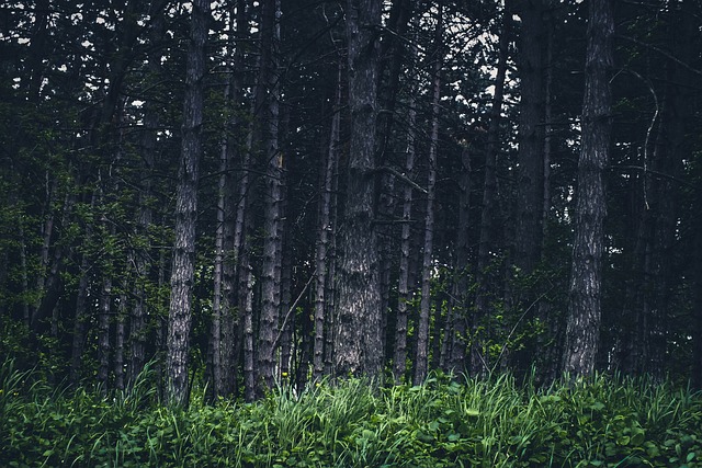 灵魂附身：农村的灵异事件